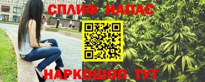 СК Тверь