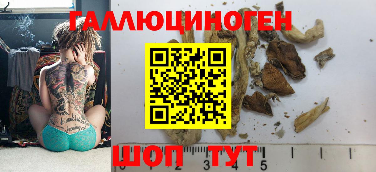 Галлюциногенные грибы прущие грибы Можайск